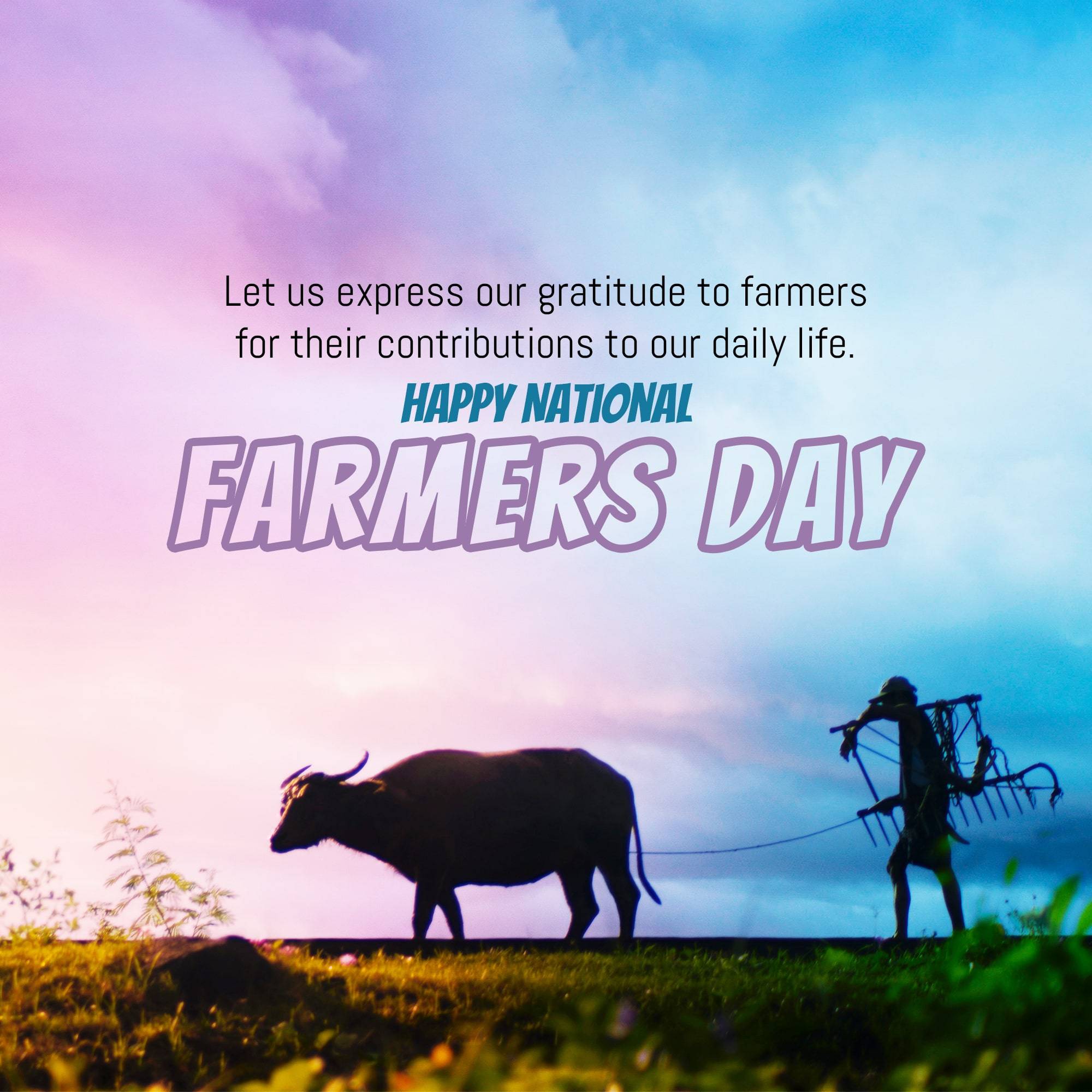 Kisan Diwas
