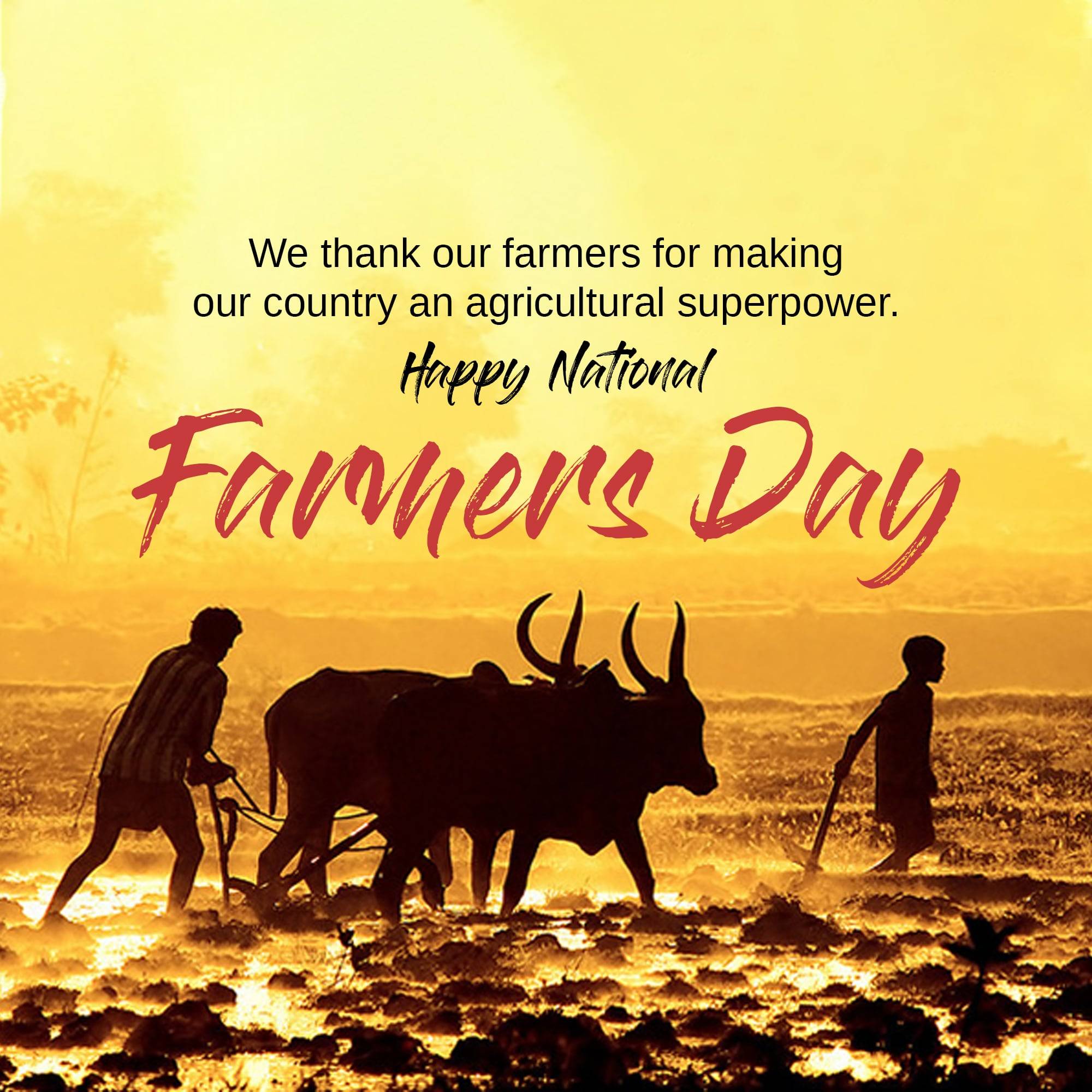Kisan Diwas