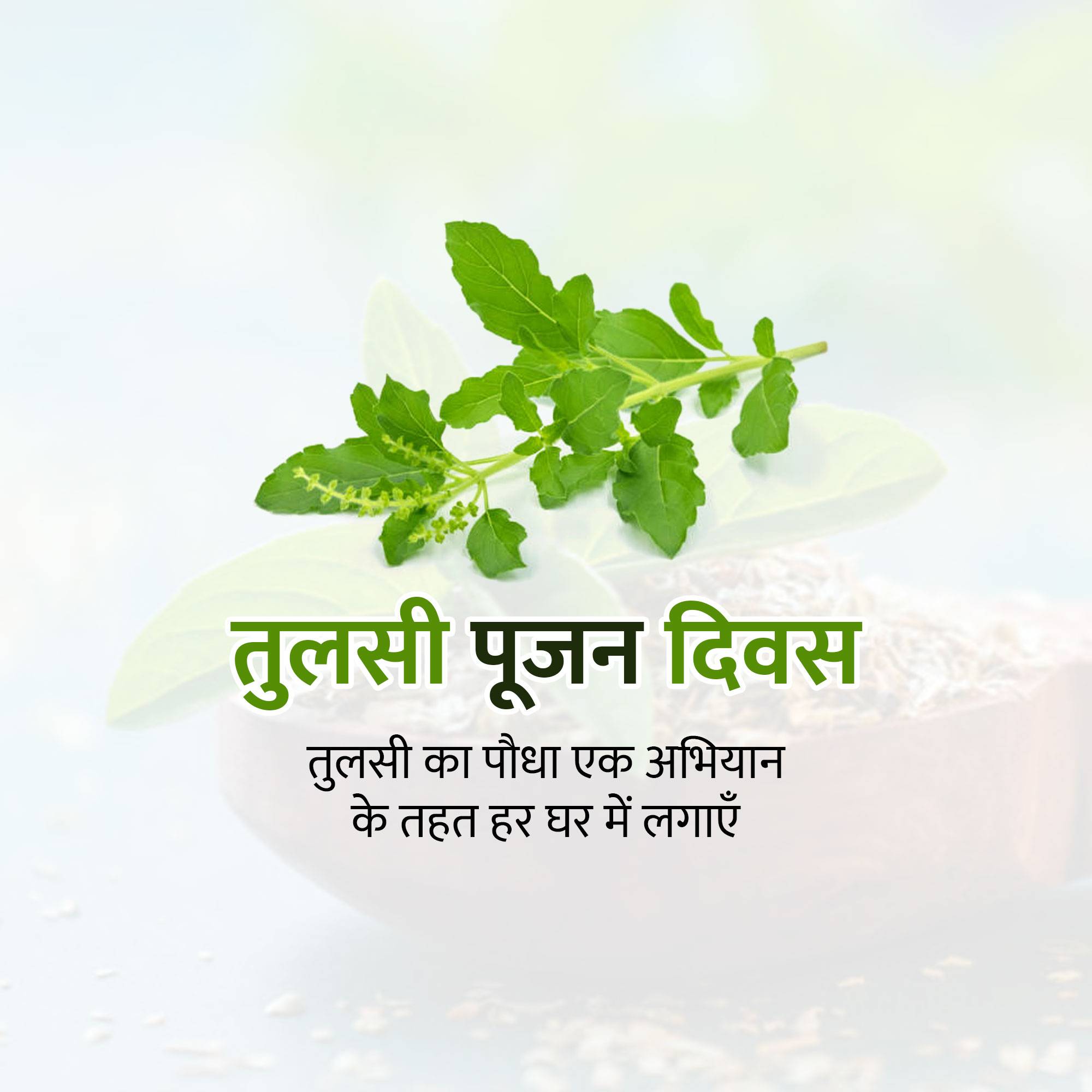 Tulsi Pujan