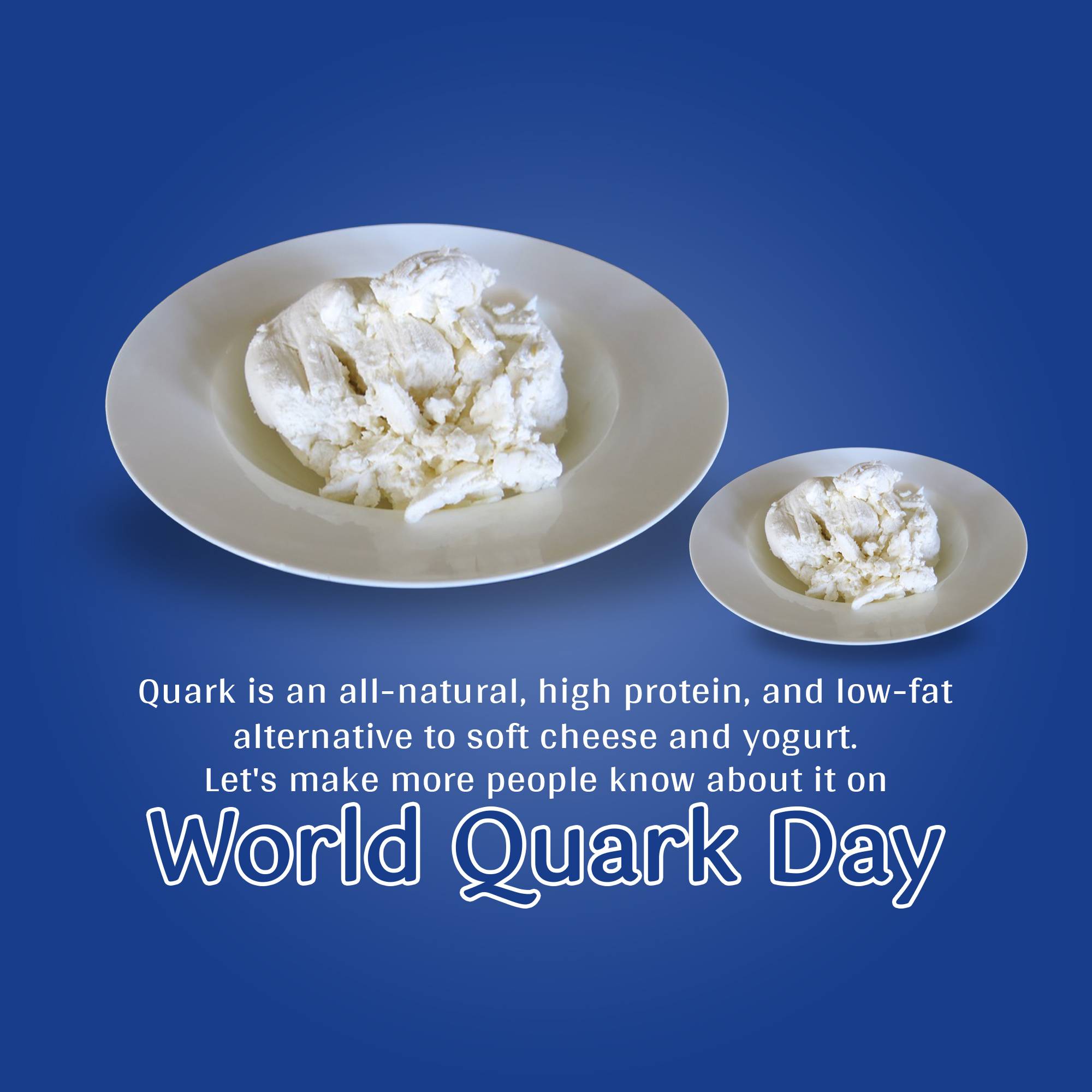World Quark Day