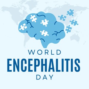 World Encephalitis Day