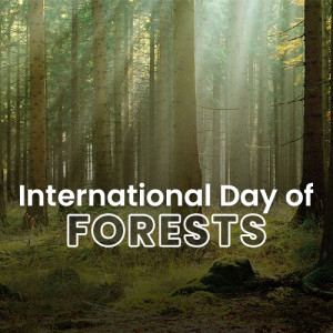 International Day of Forests