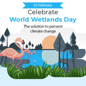 World Wetlands day