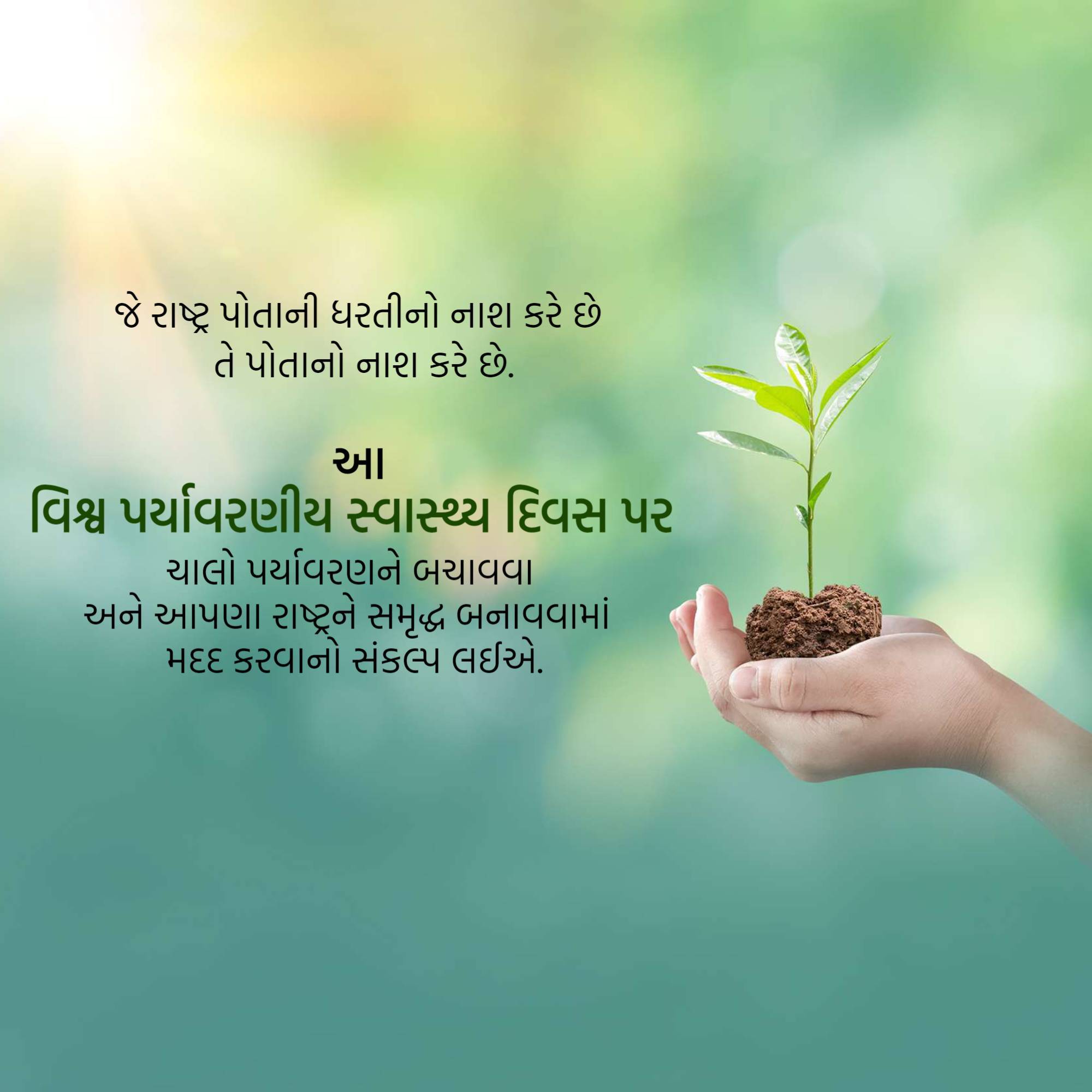 World Environmental Health Day