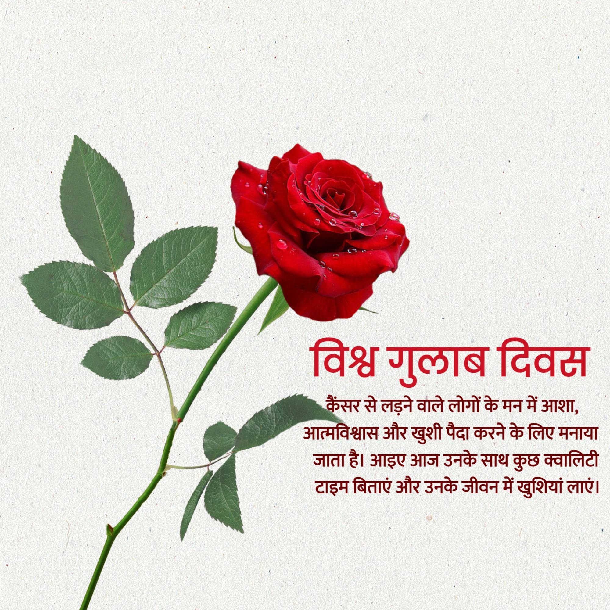 Rose day welfare of cancer patients