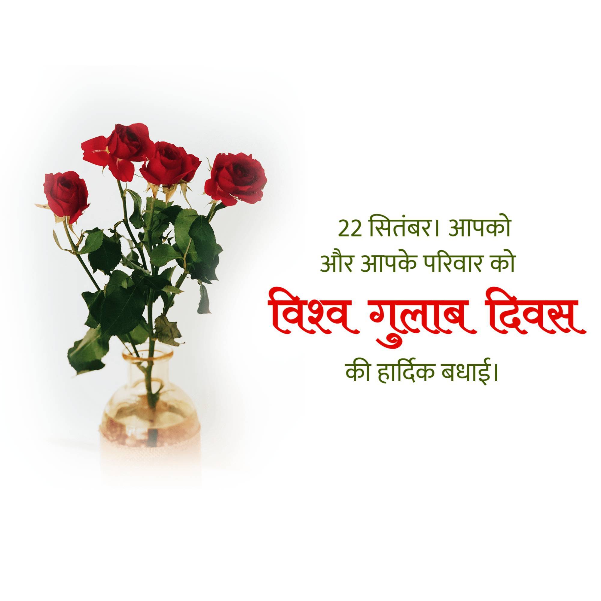 Rose day welfare of cancer patients
