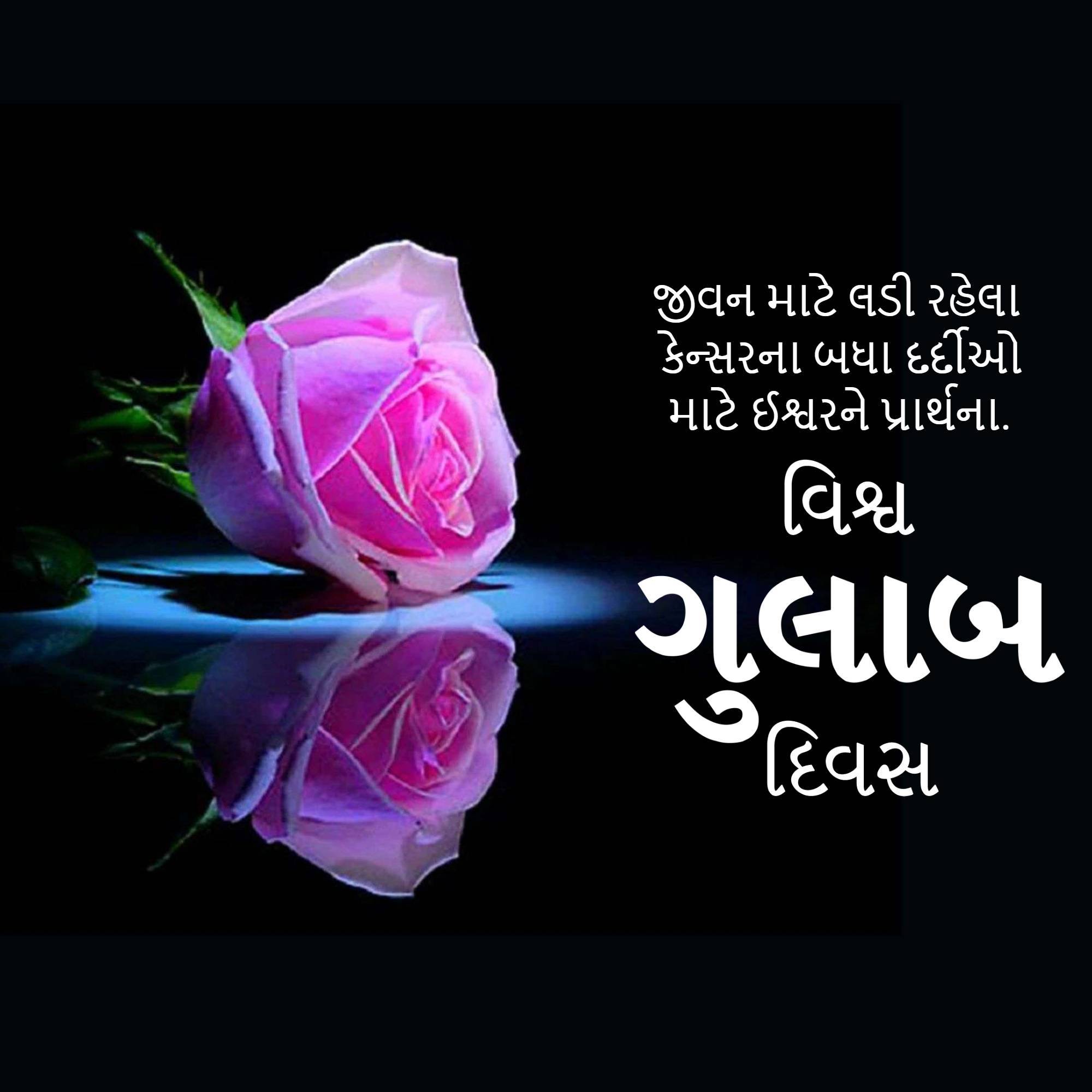 Rose day welfare of cancer patients