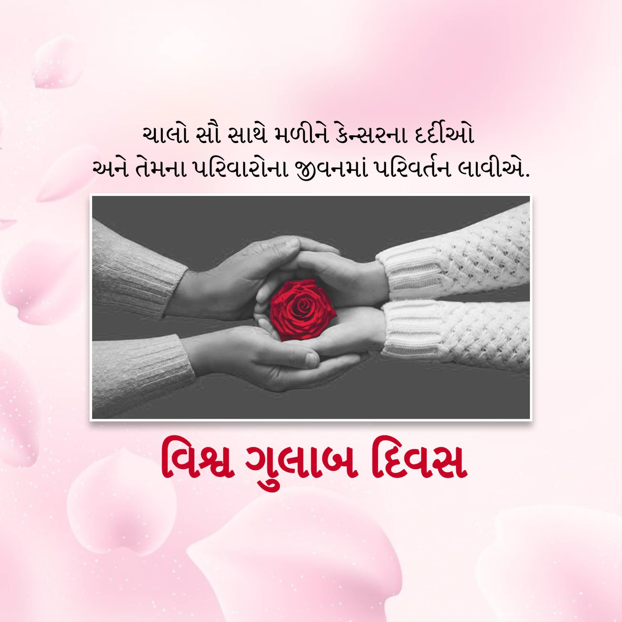 Rose day welfare of cancer patients