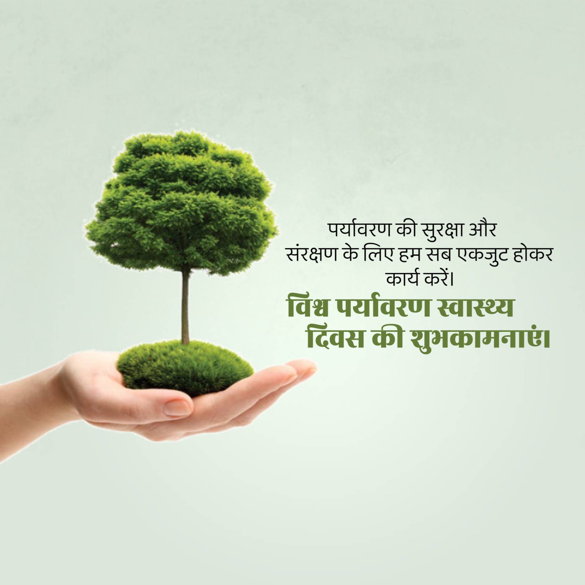 World Environmental Health Day