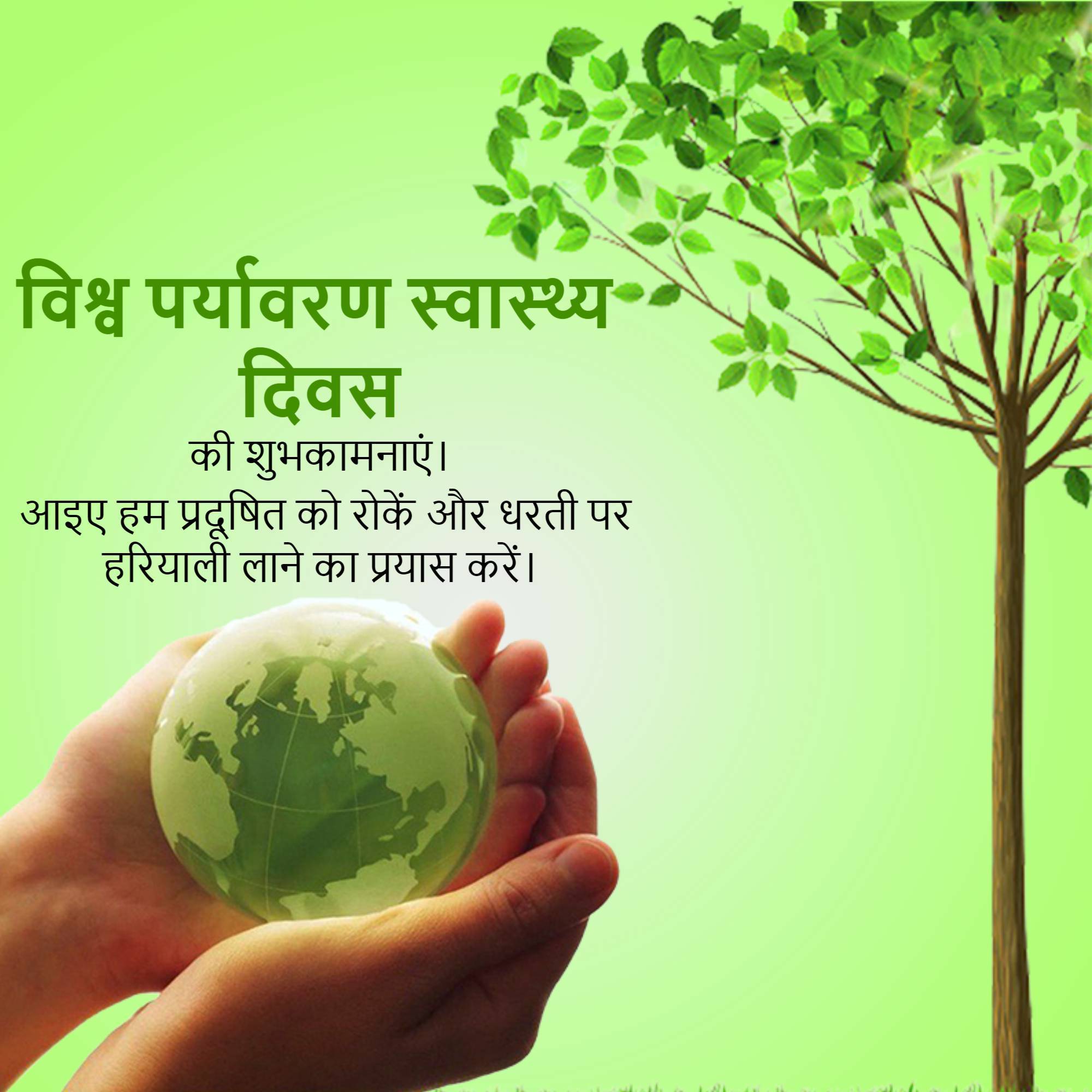 World Environmental Health Day