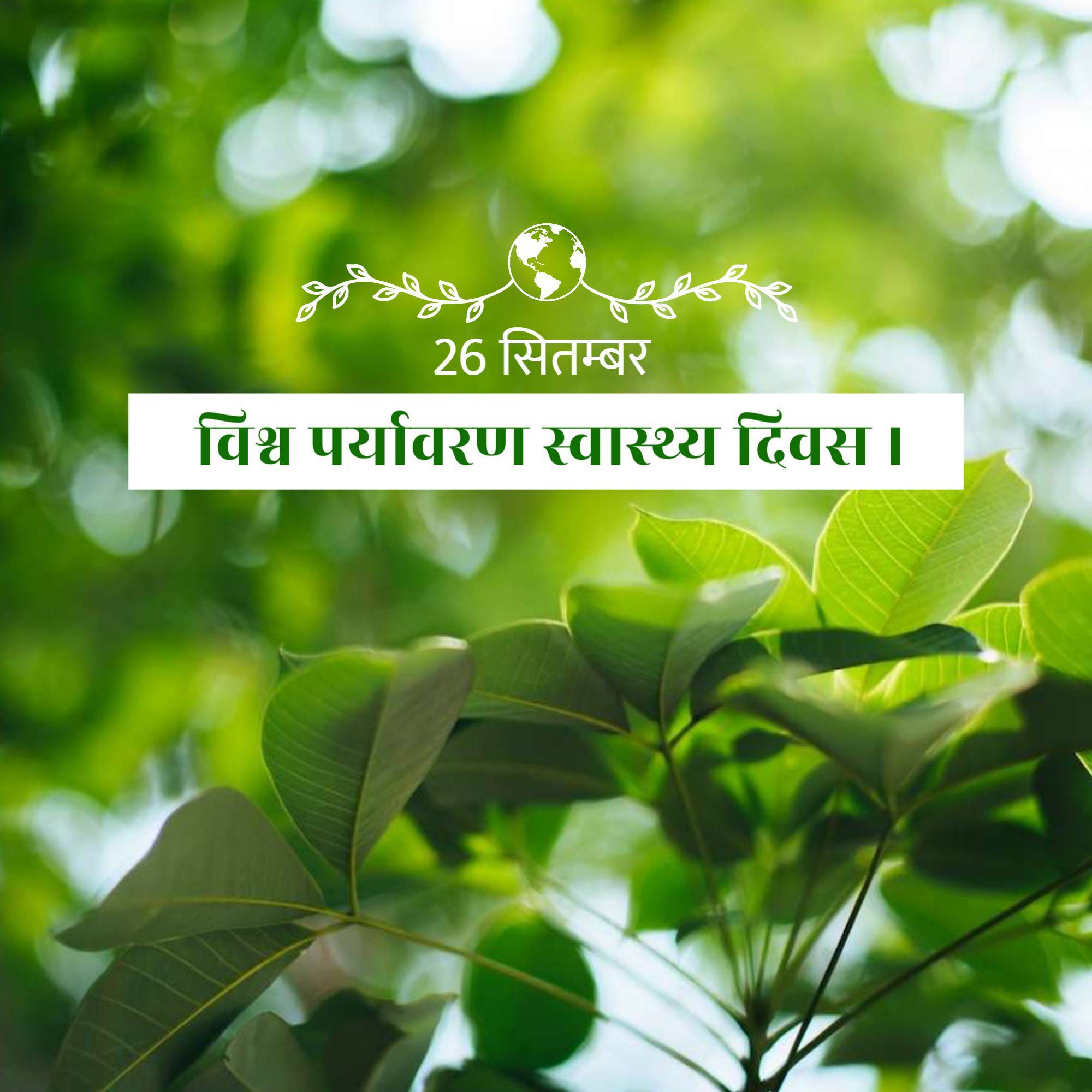 World Environmental Health Day