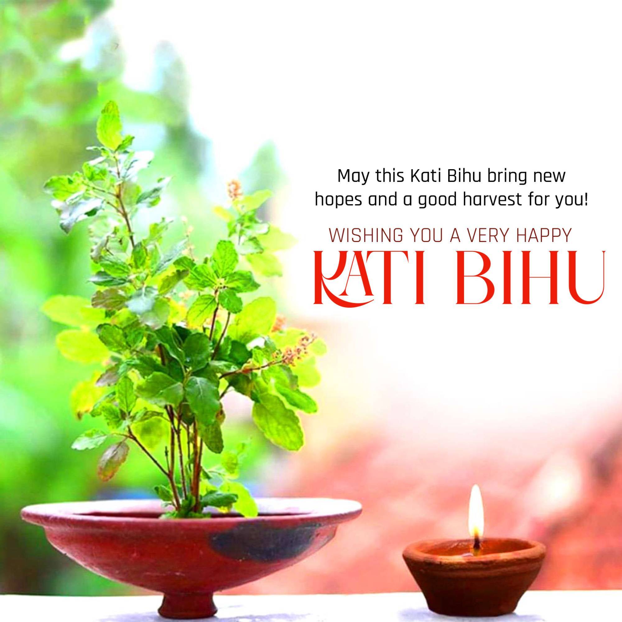Kati Bihu