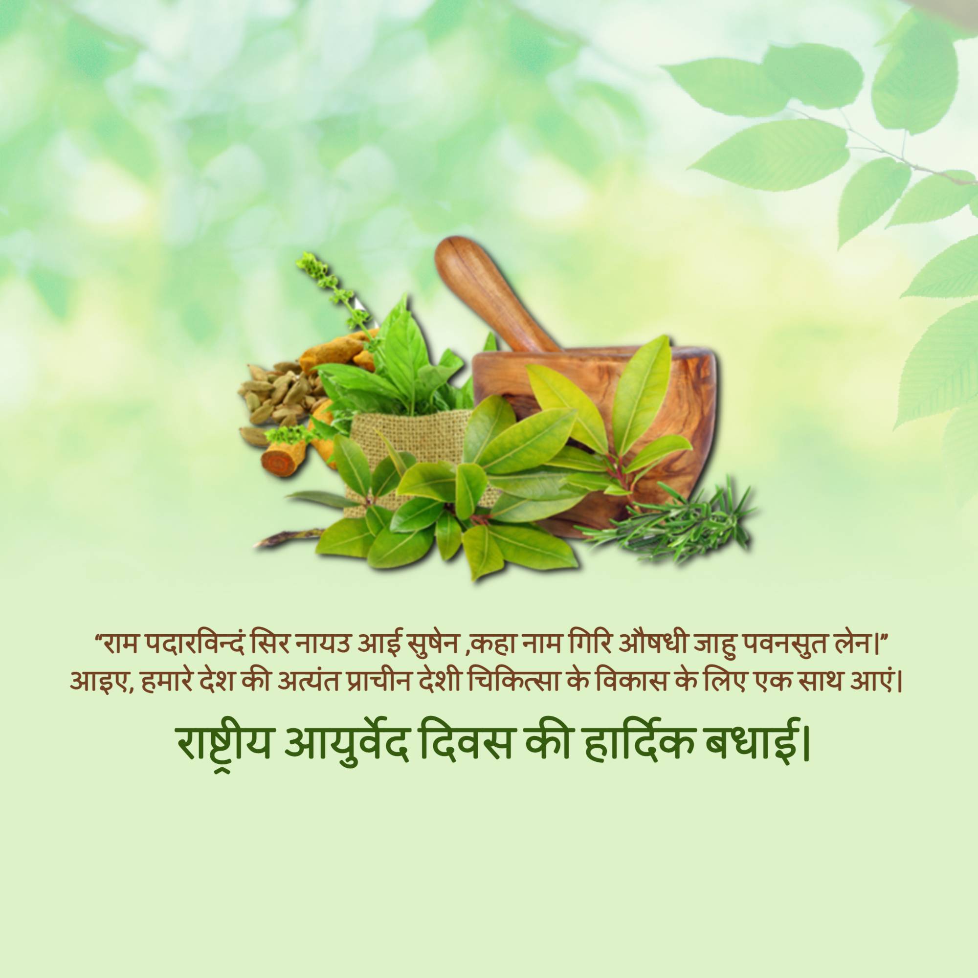 National Ayurveda Day