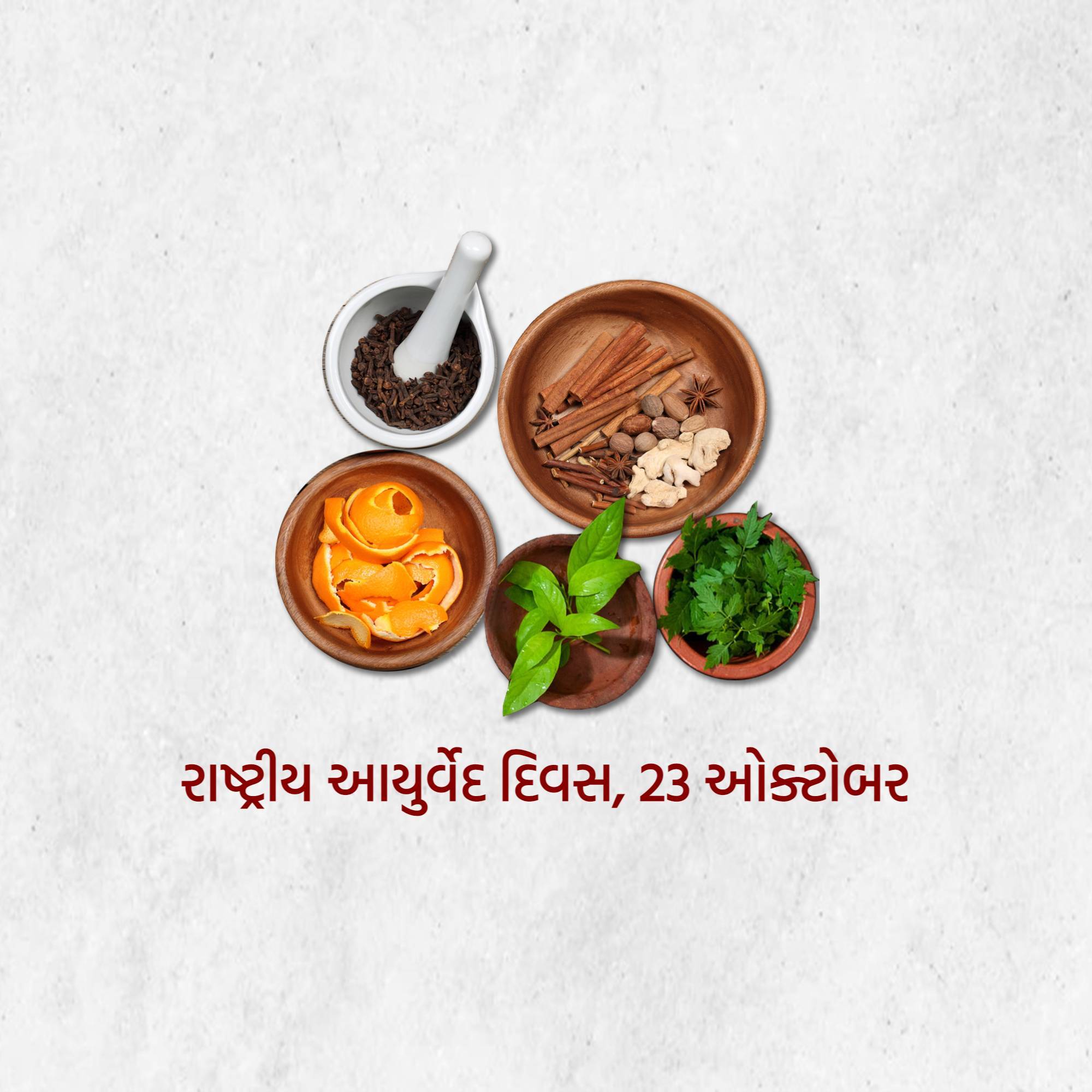 National Ayurveda Day