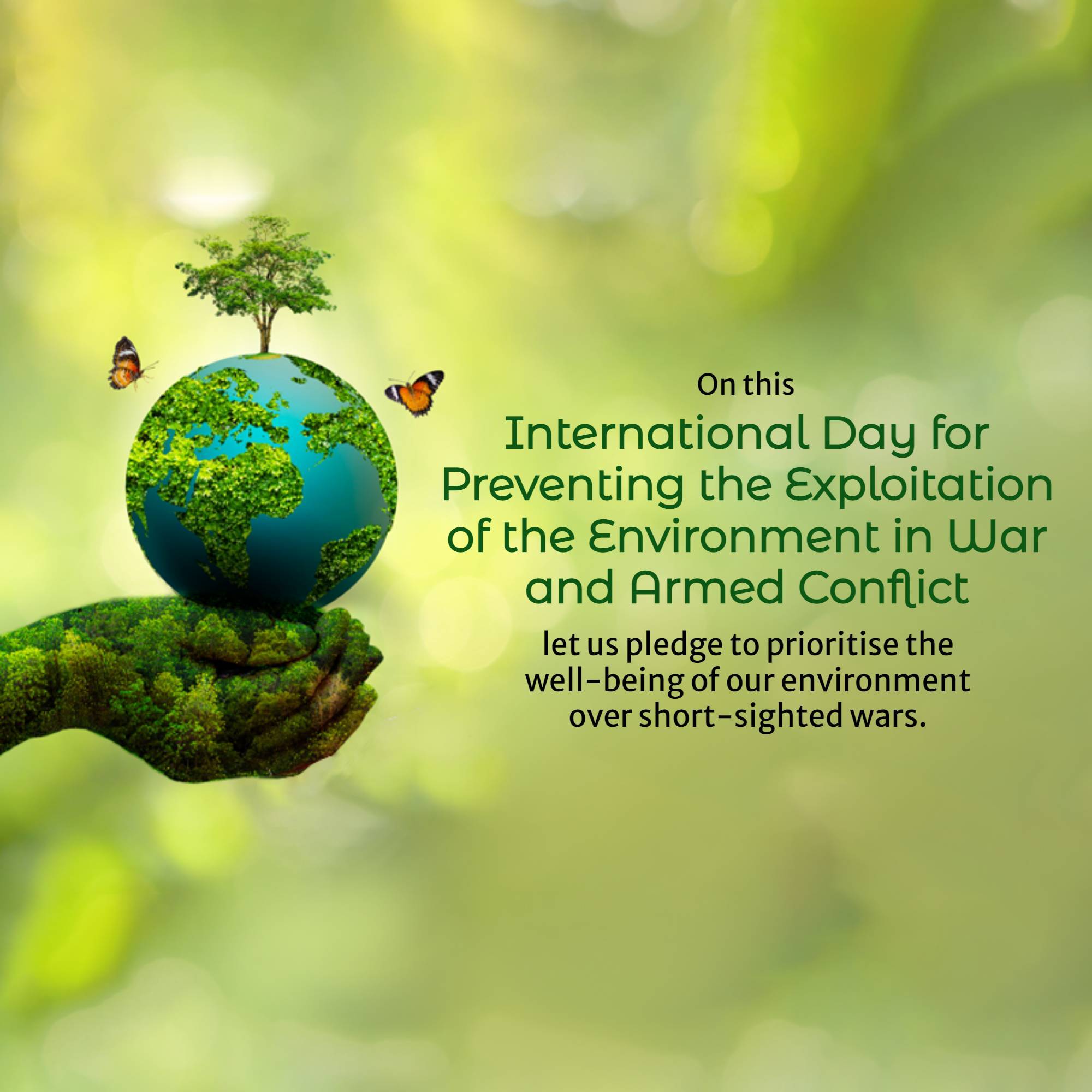 International Day for Saving Environment in War