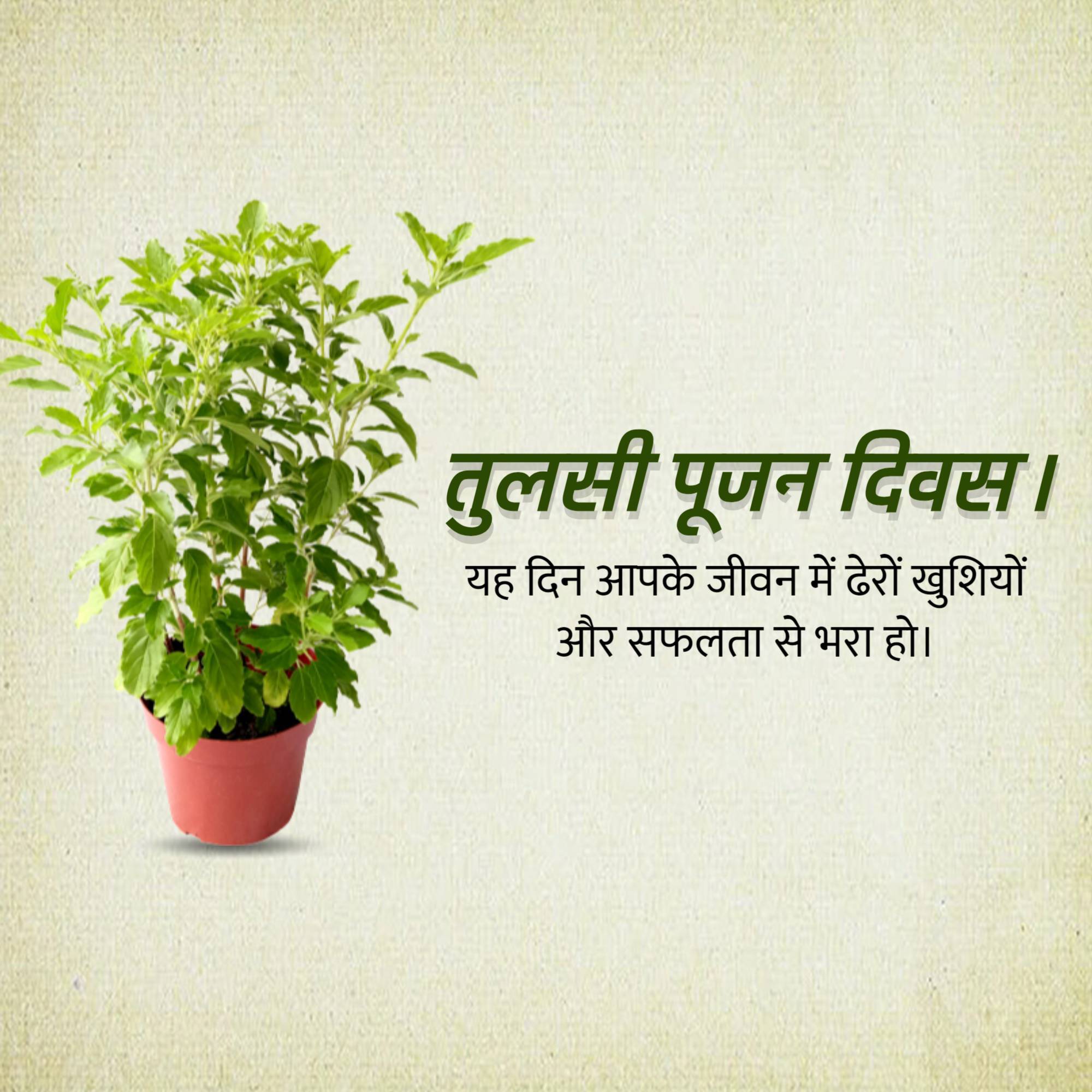Tulsi Pujan