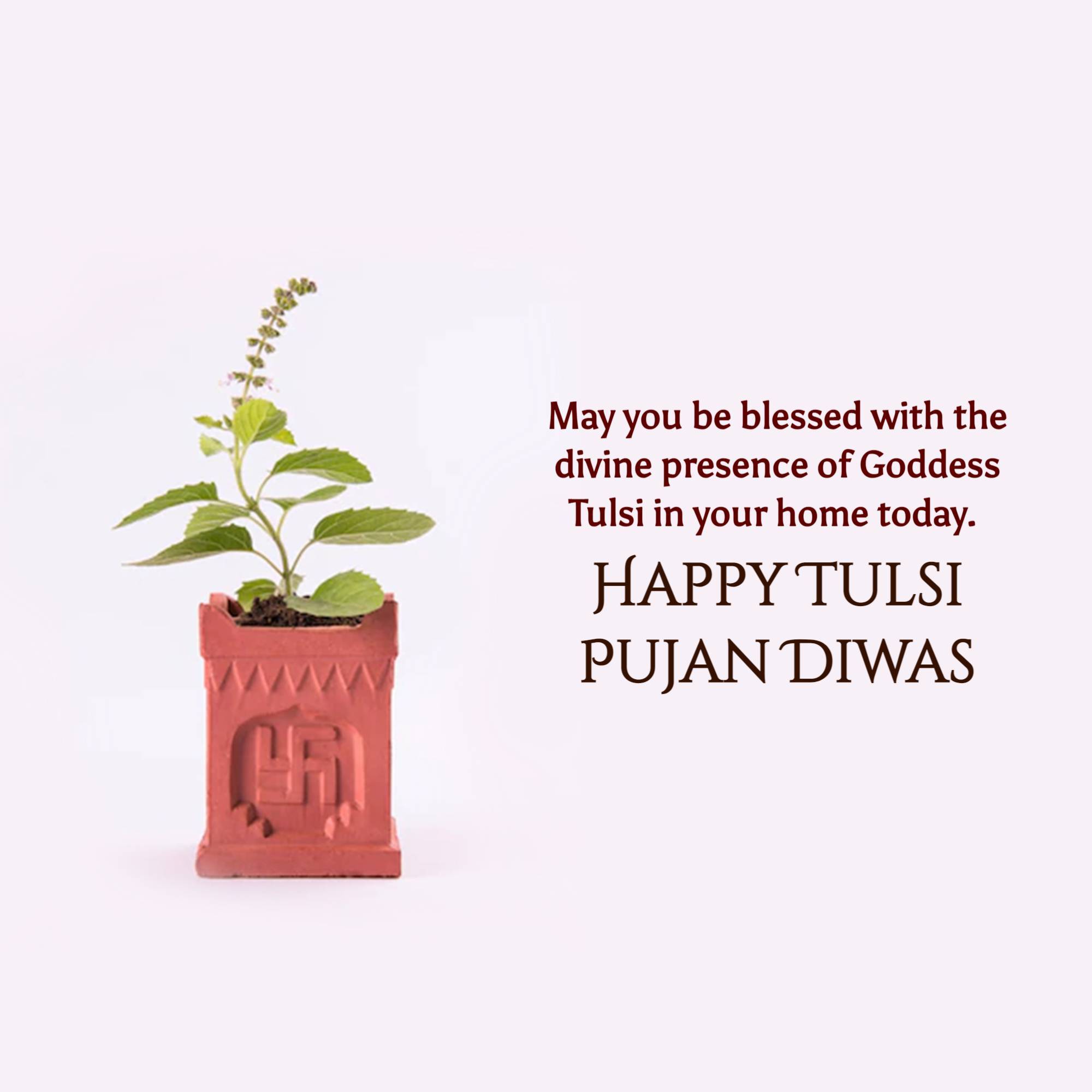 Tulsi Pujan