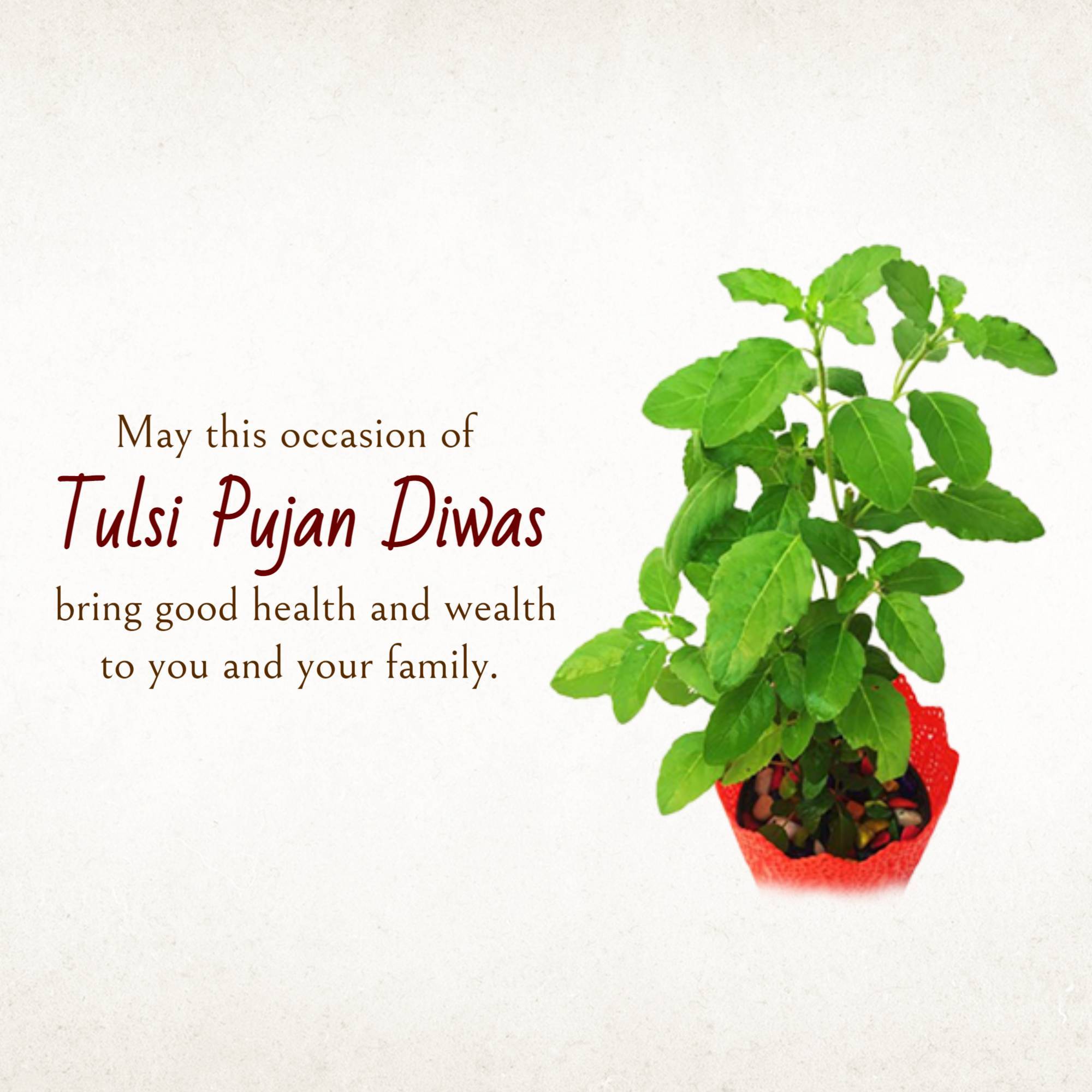 Tulsi Pujan