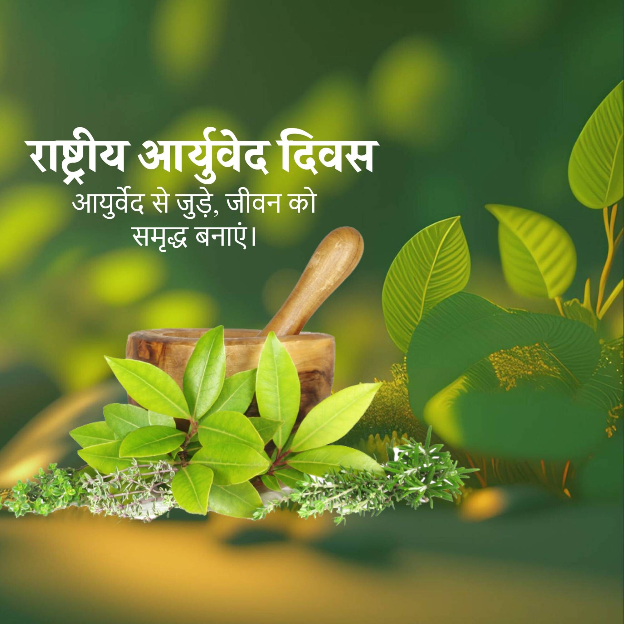 National Ayurveda Day