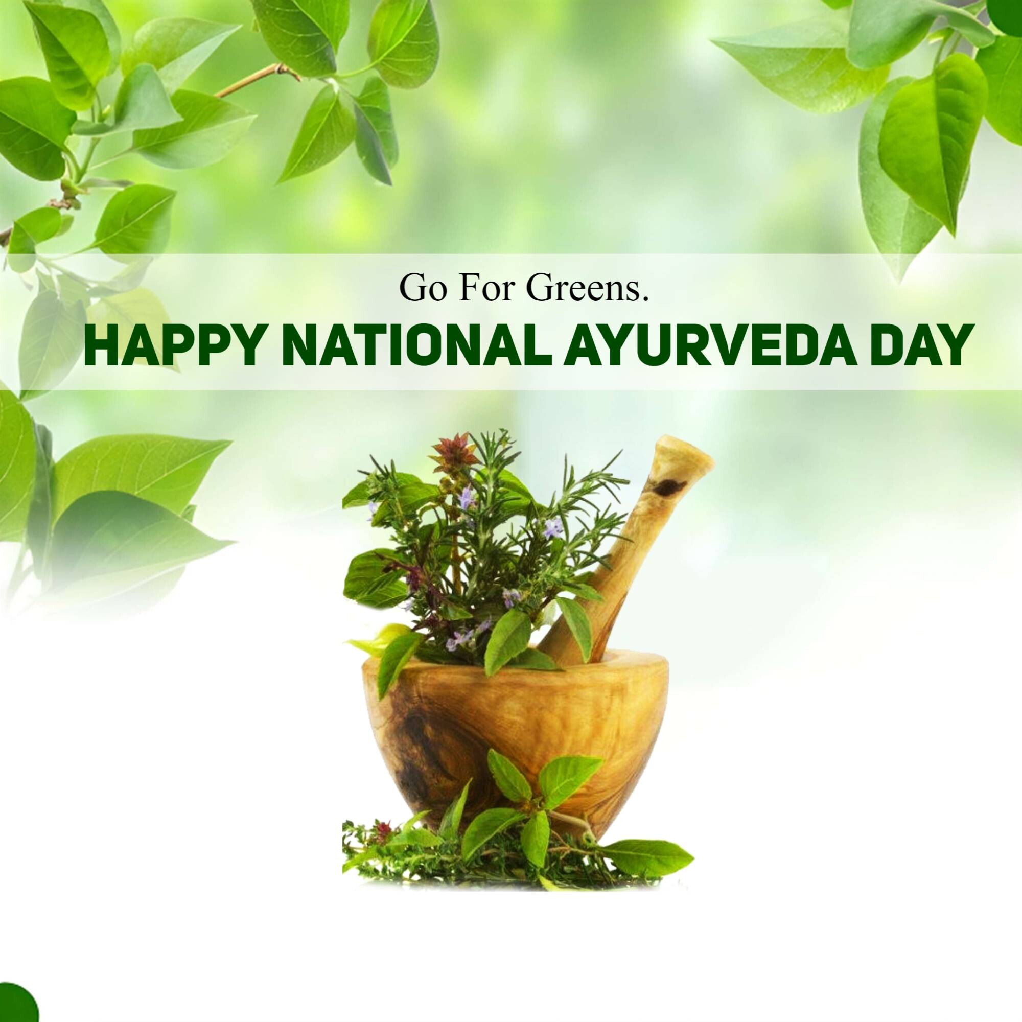 National Ayurveda Day