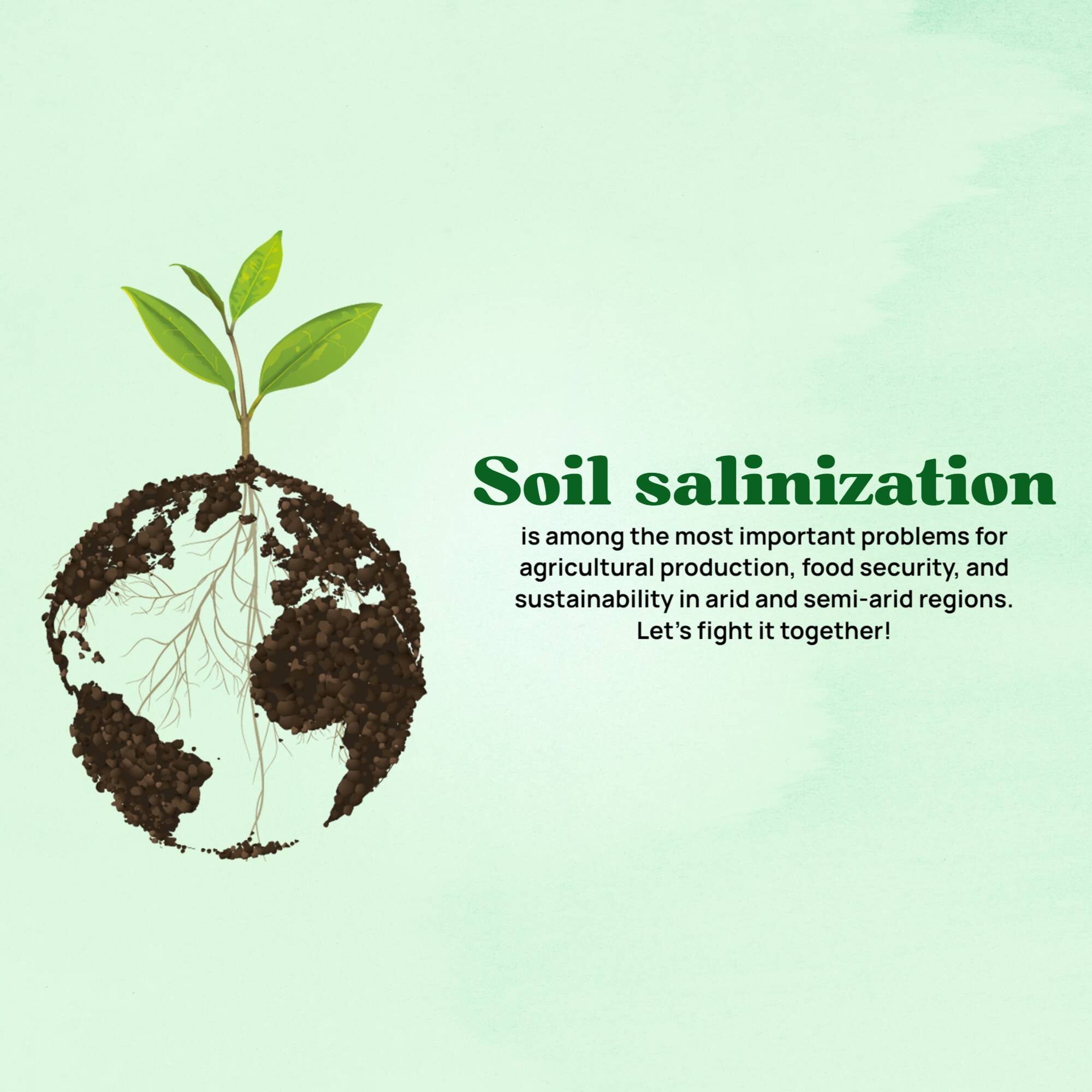 World Soil Day