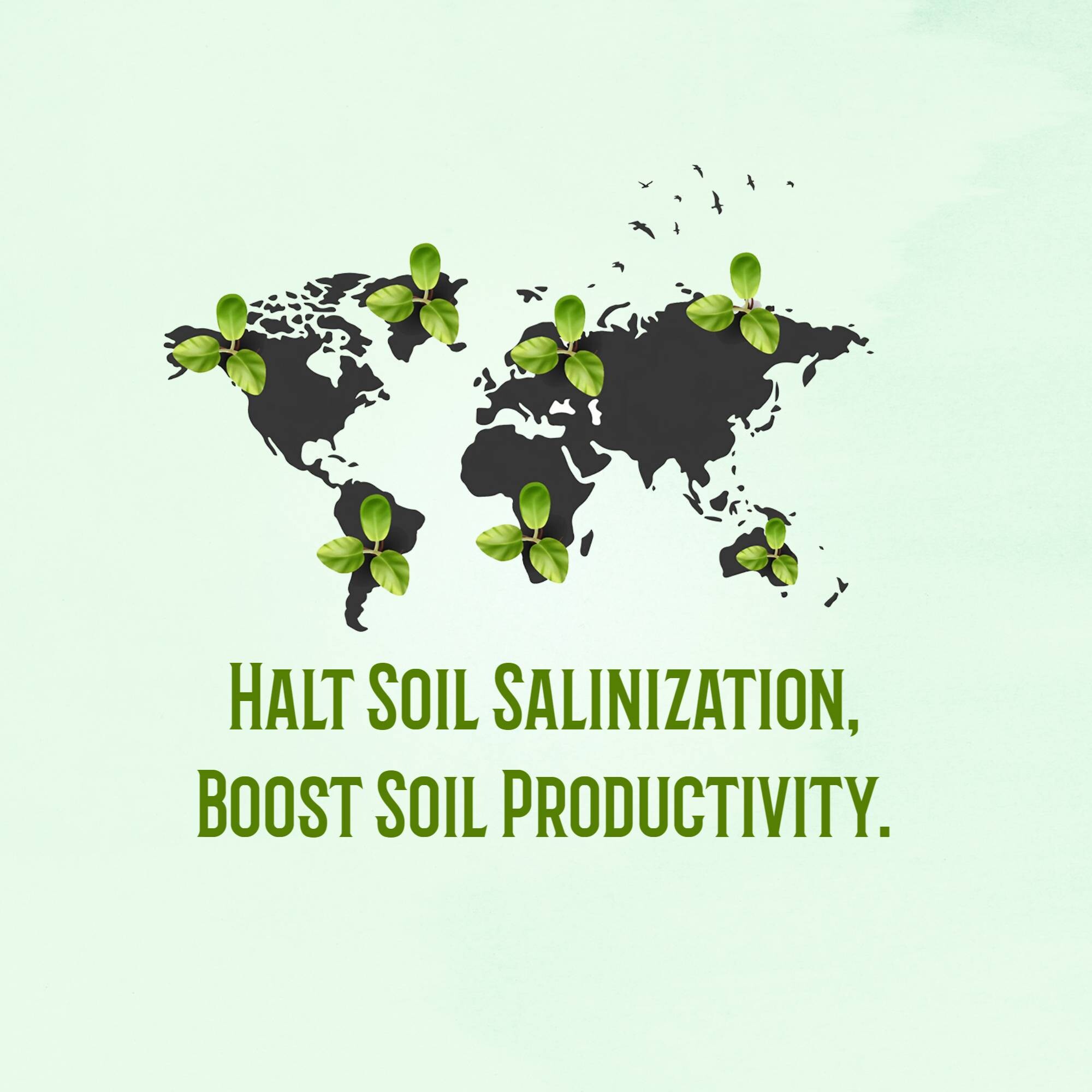 World Soil Day