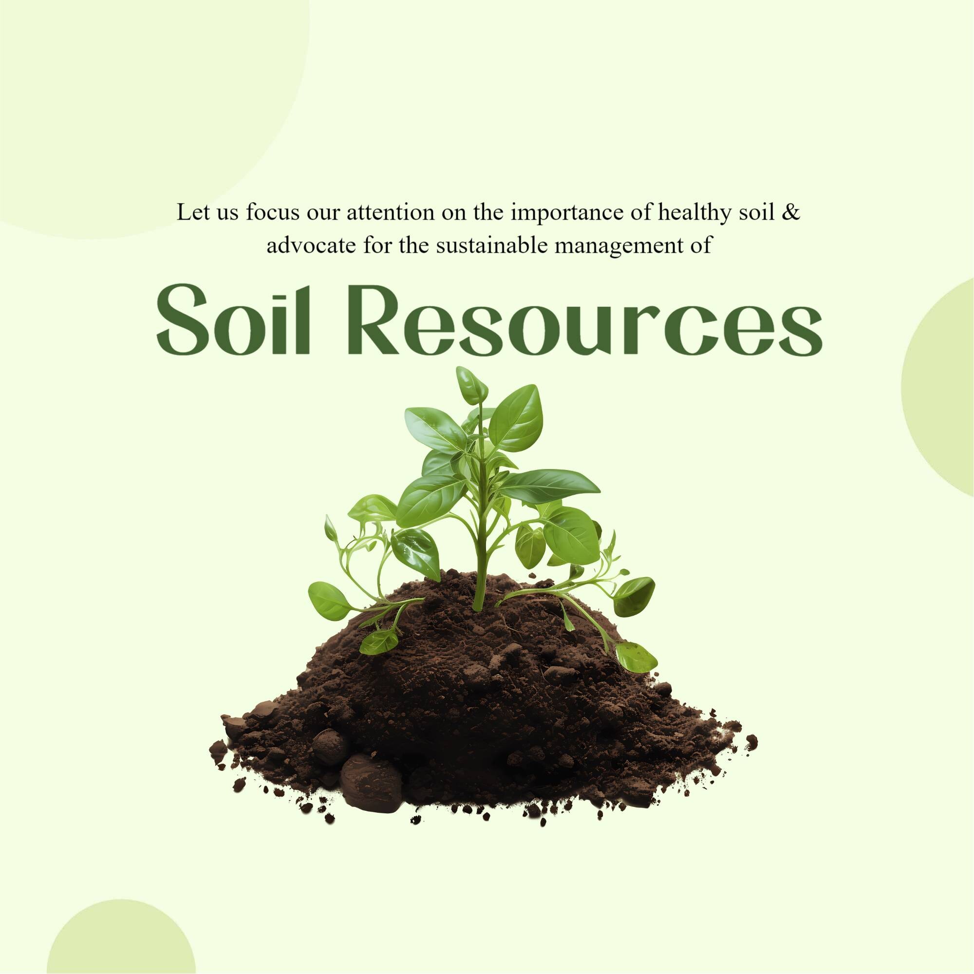 World Soil Day