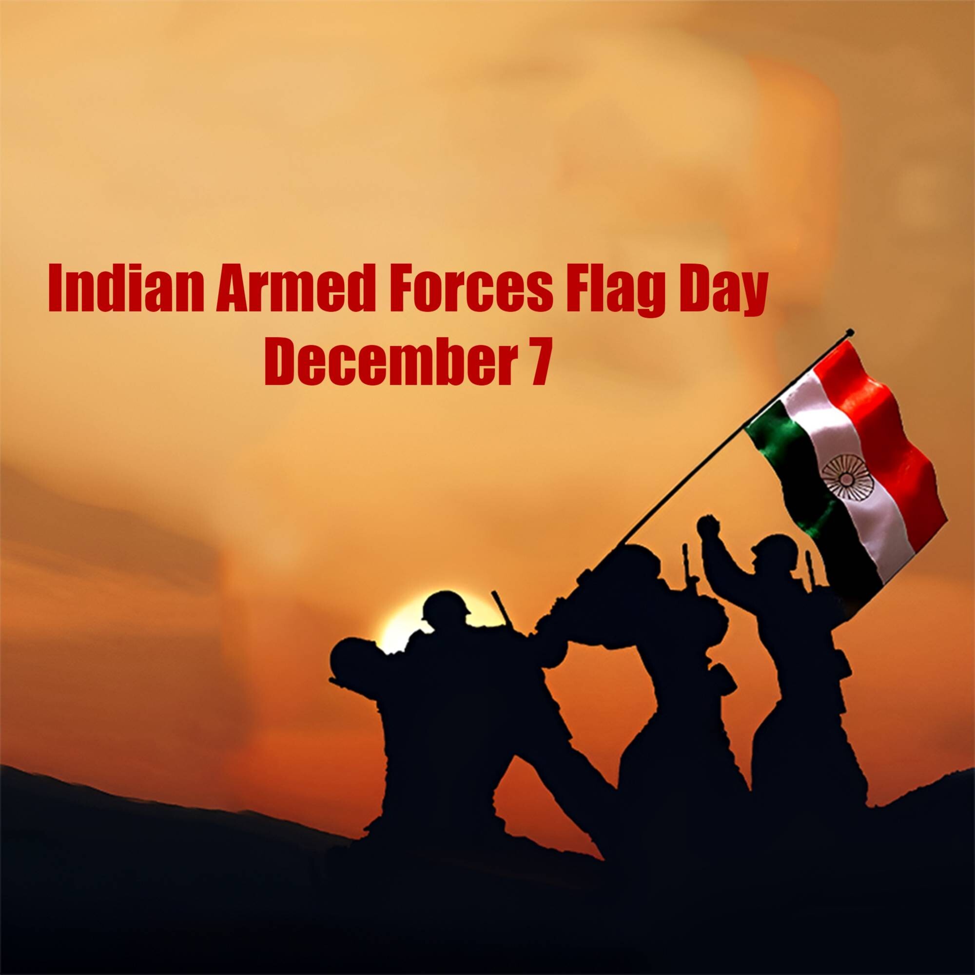Armed Forces Flag Day