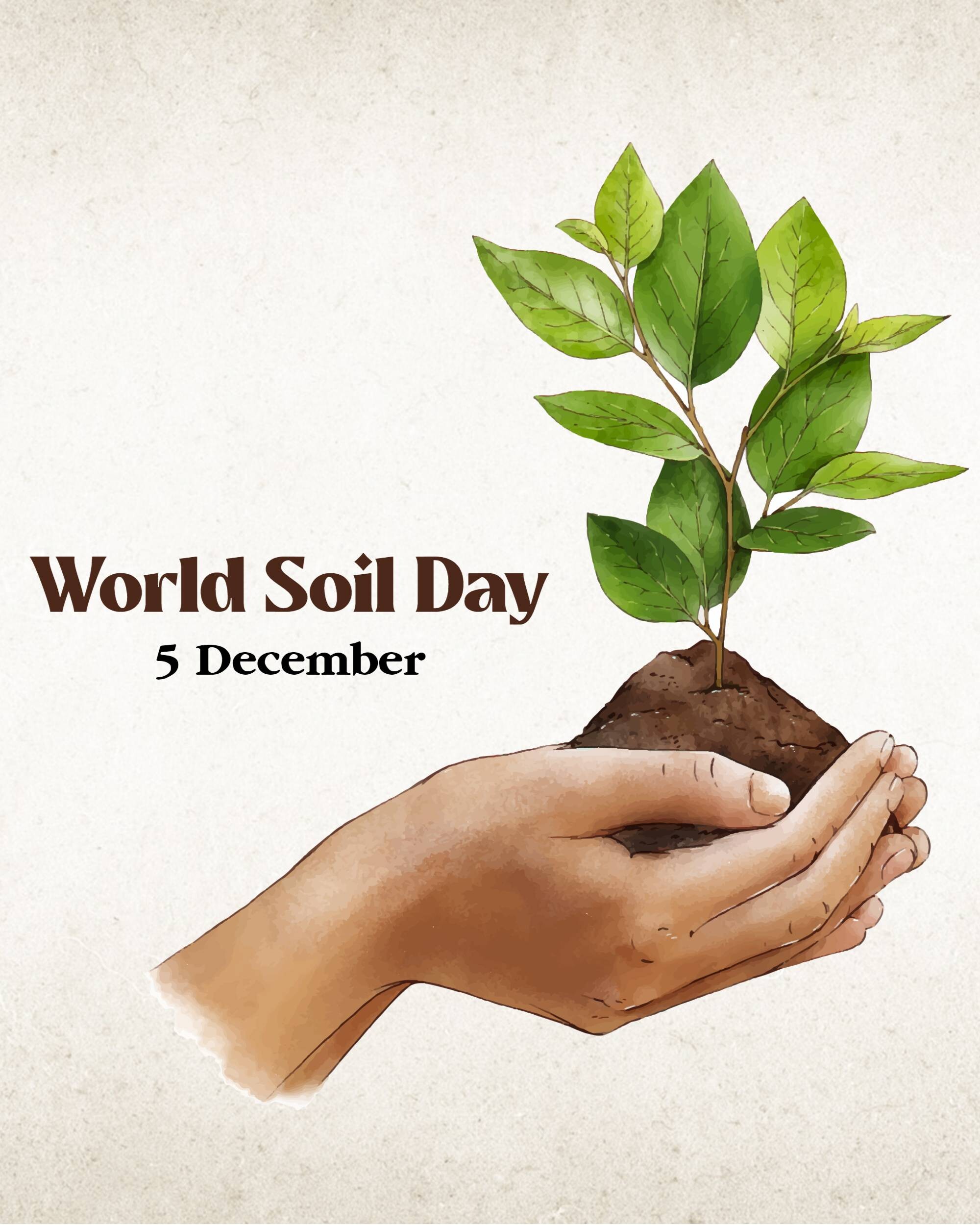 World Soil Day
