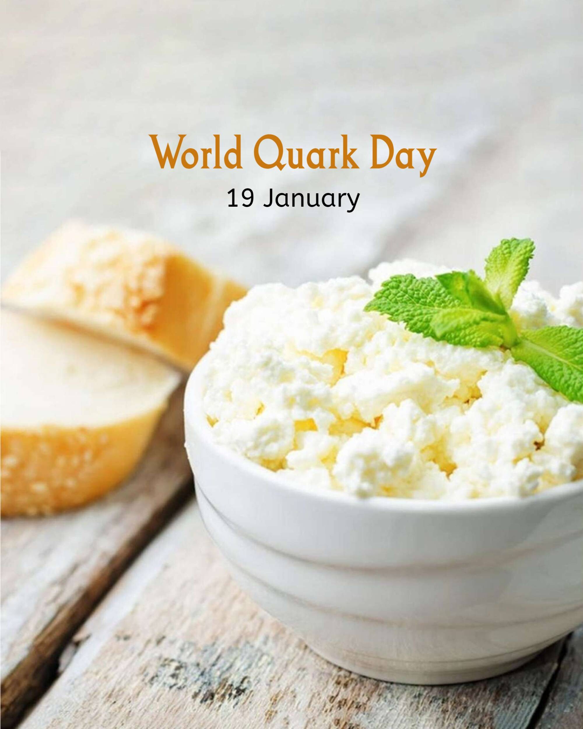 World Quark Day