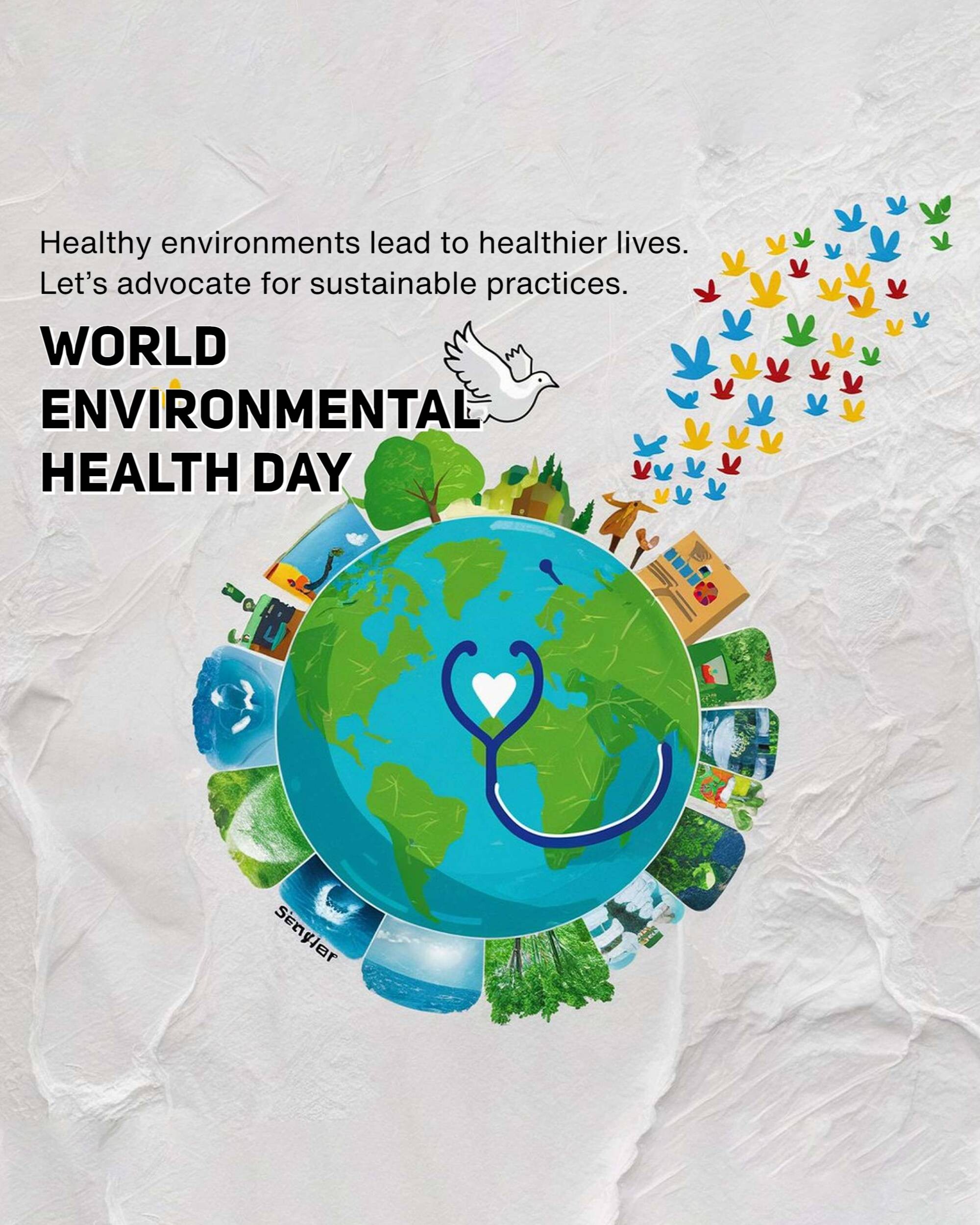 World Environmental Health Day