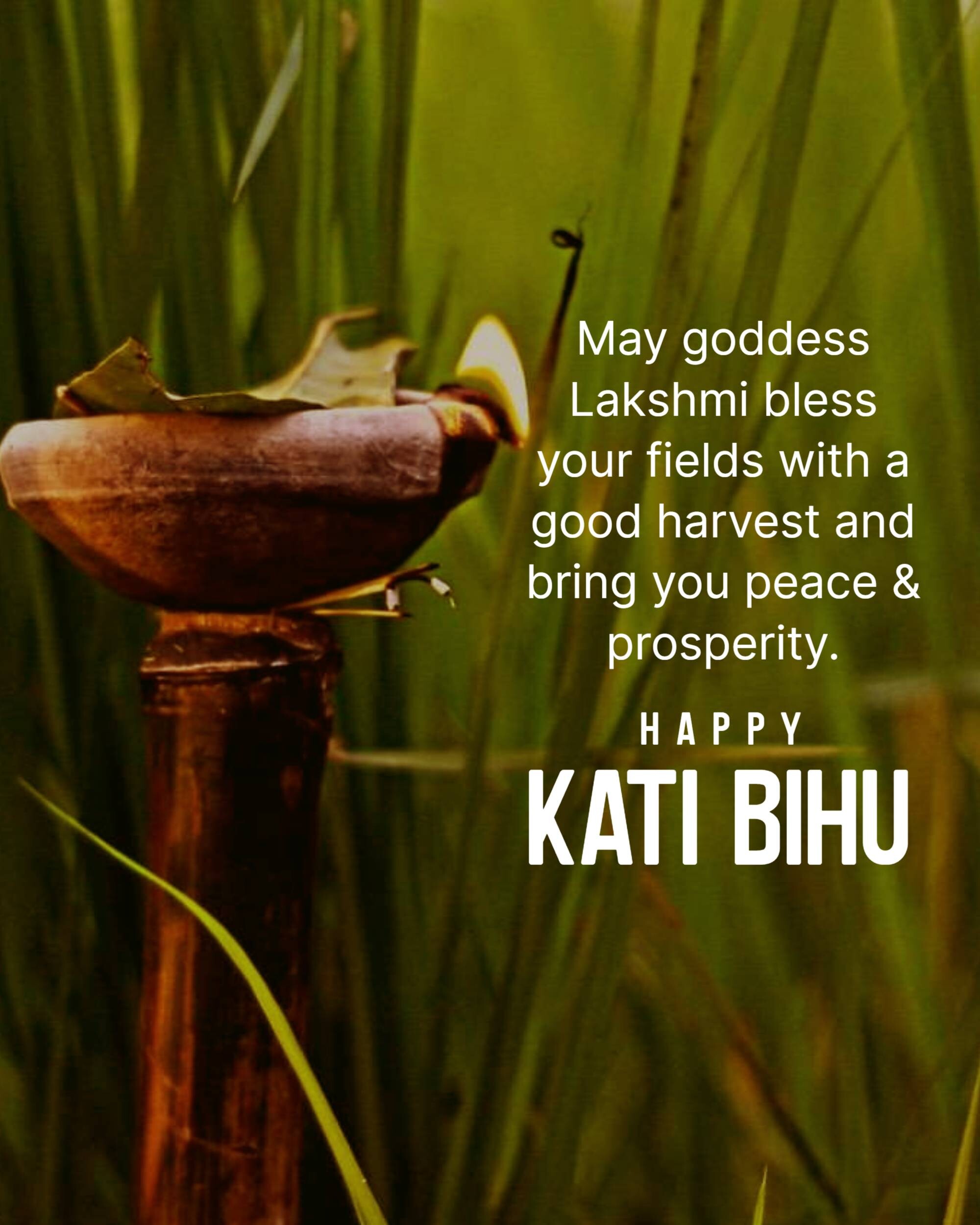 Kati Bihu