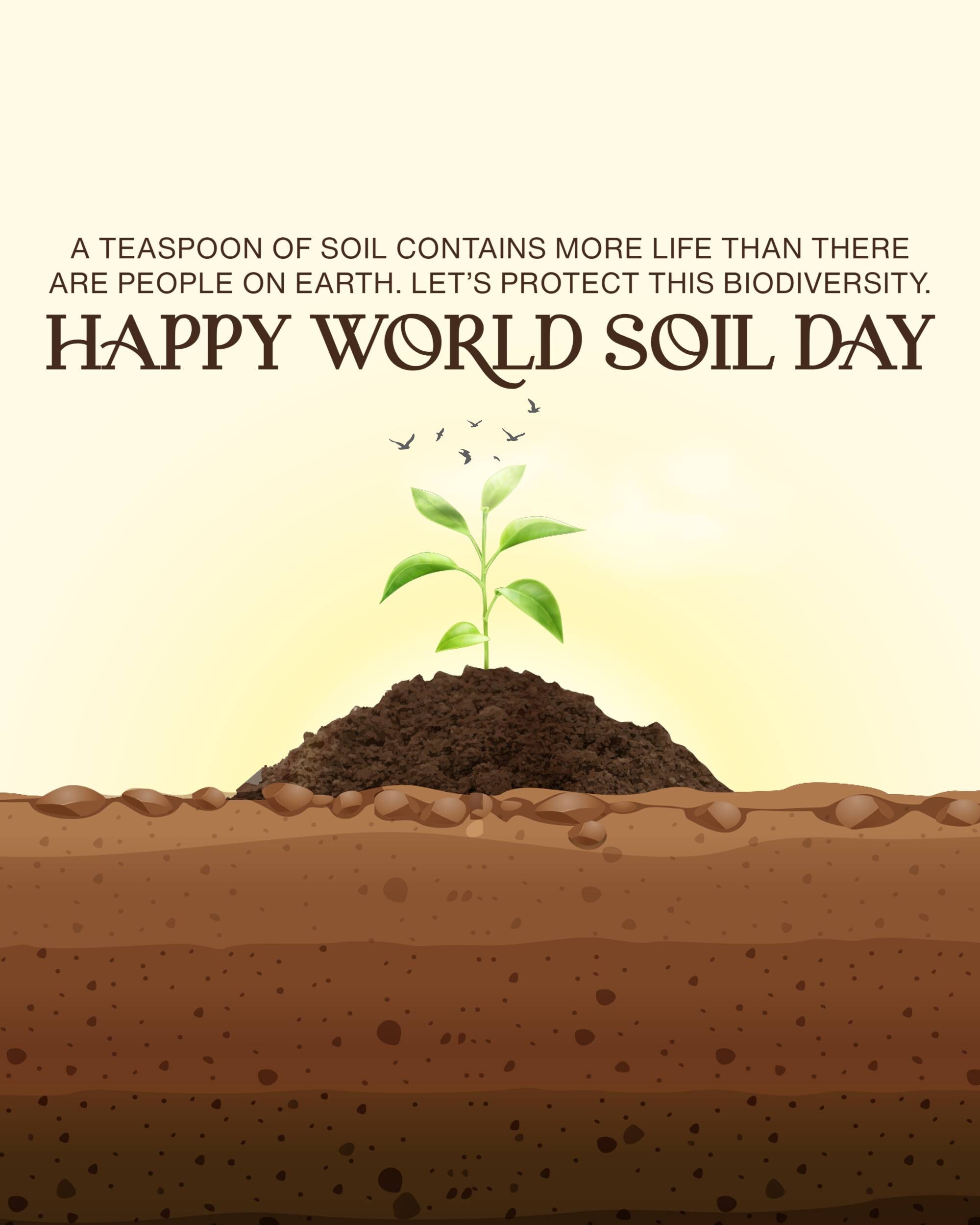 World Soil Day