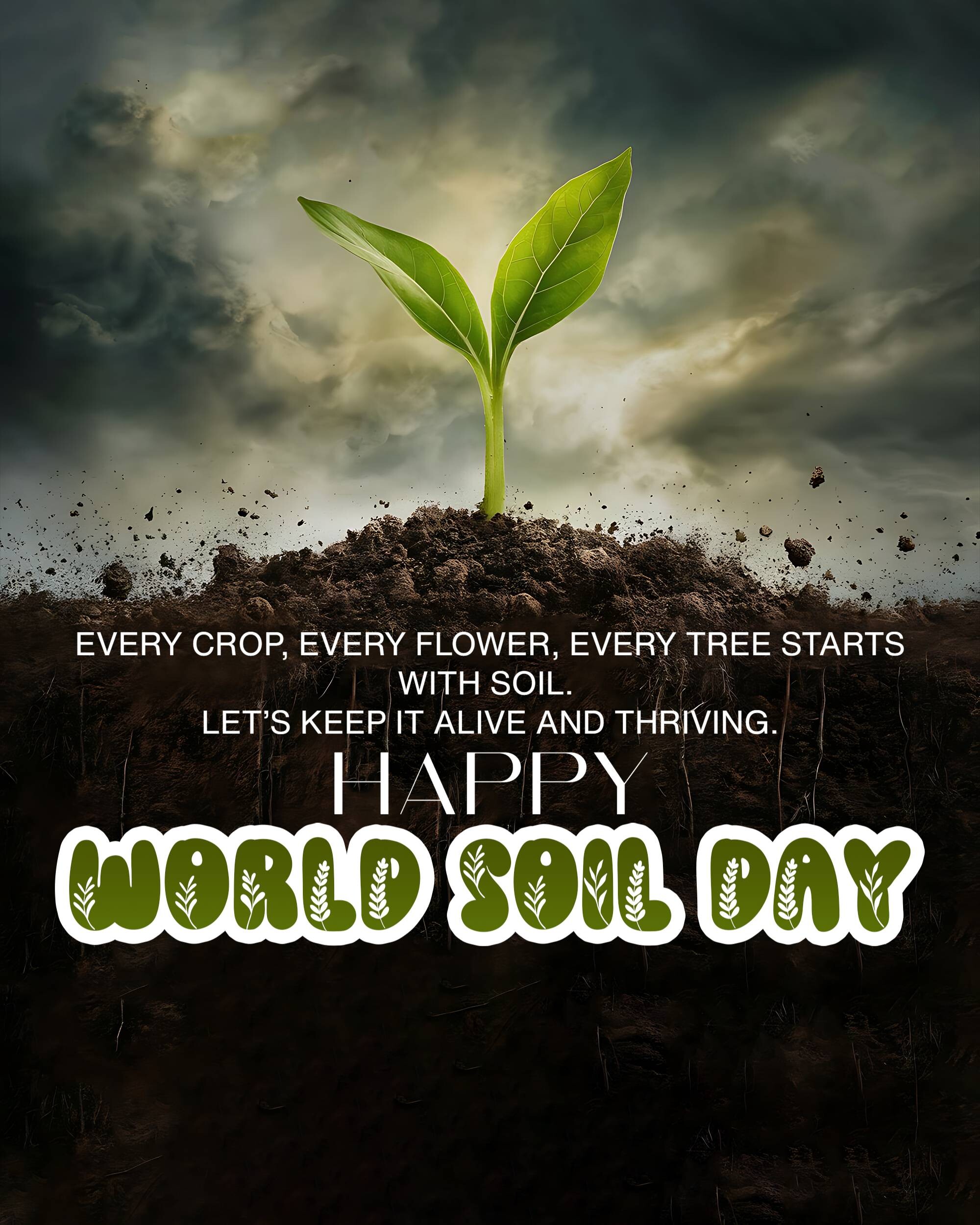 World Soil Day