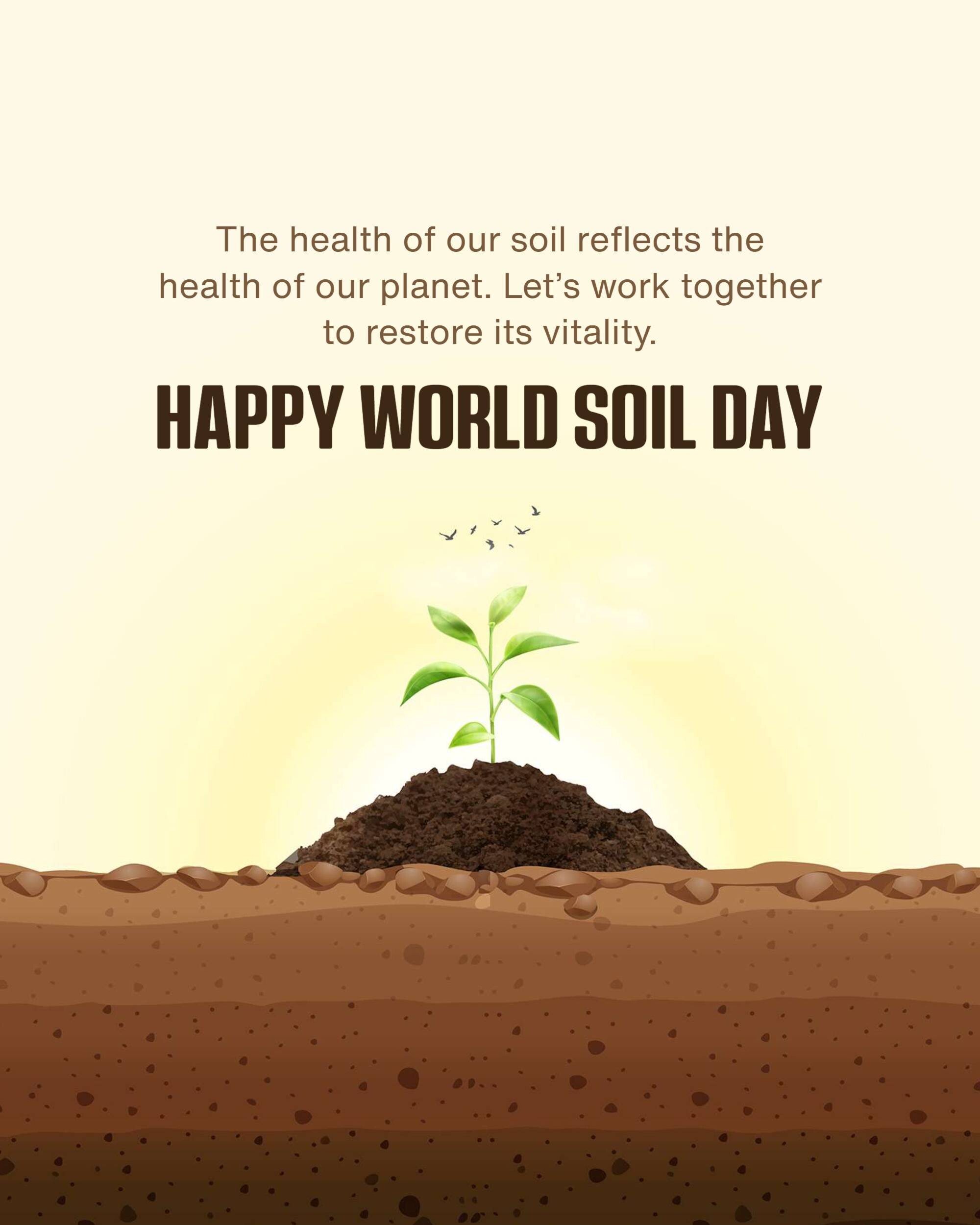 World Soil Day