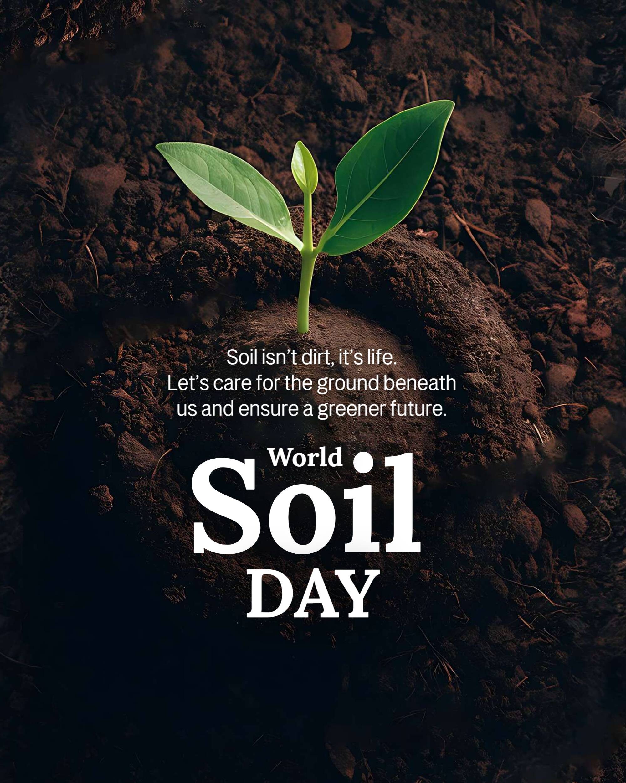 World Soil Day
