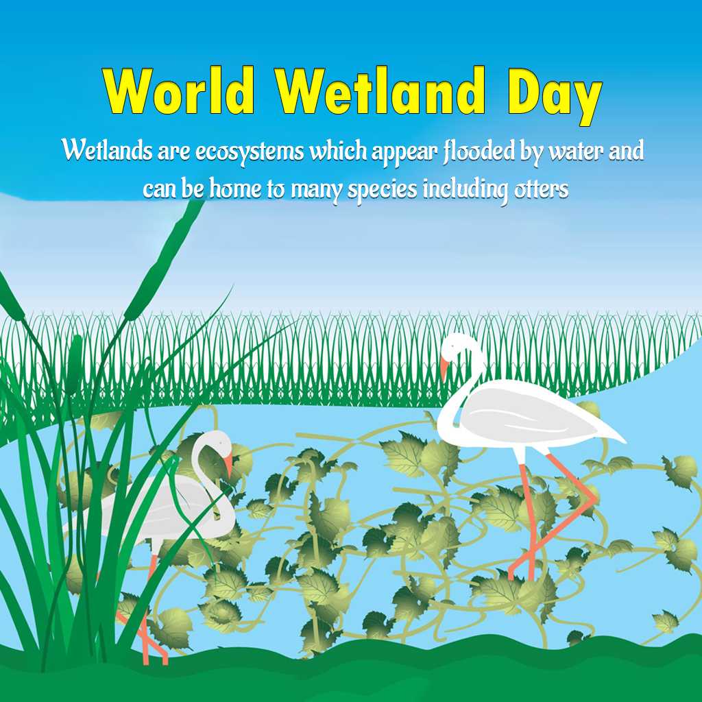 World Wetlands Day