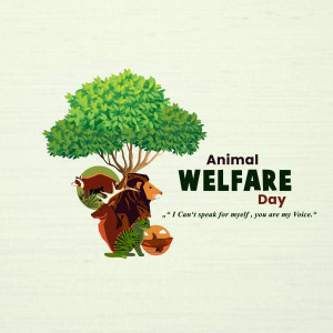 World Animal Day
