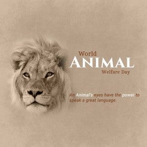 World Animal Day