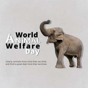 World Animal Day