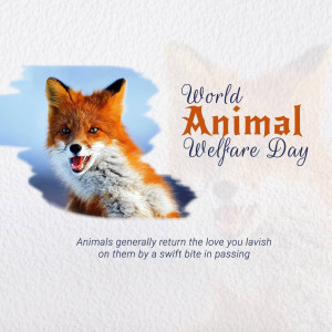 World Animal Day
