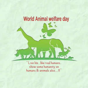 World Animal Day