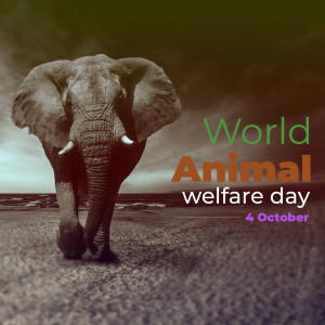 World Animal Day