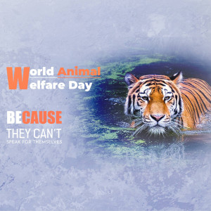World Animal Day
