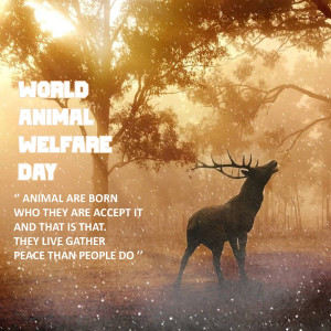 World Animal Day