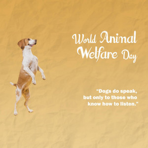 World Animal Day