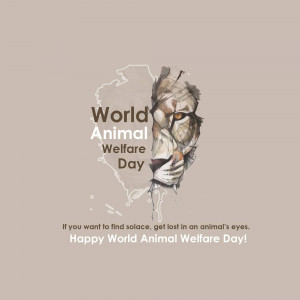 World Animal Day