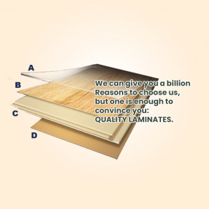 Plywood and Laminate