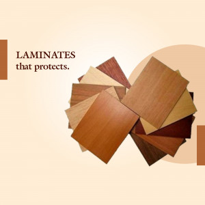 Plywood and Laminate
