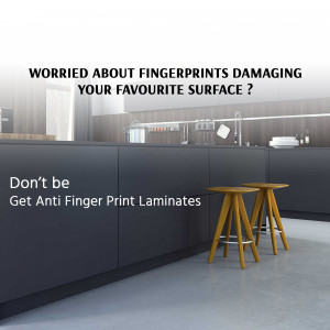 Plywood and Laminate
